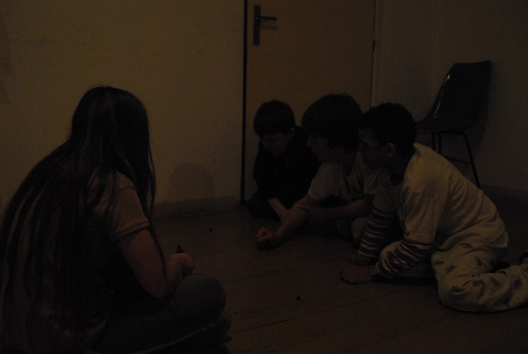 029 Expedice GEMINI 2010